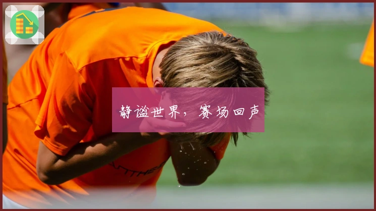 静谧世界，赛场回声