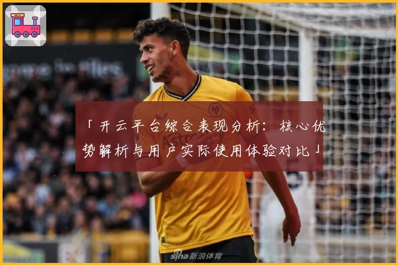 「开云平台综合表现分析：核心优势解析与用户实际使用体验对比」
