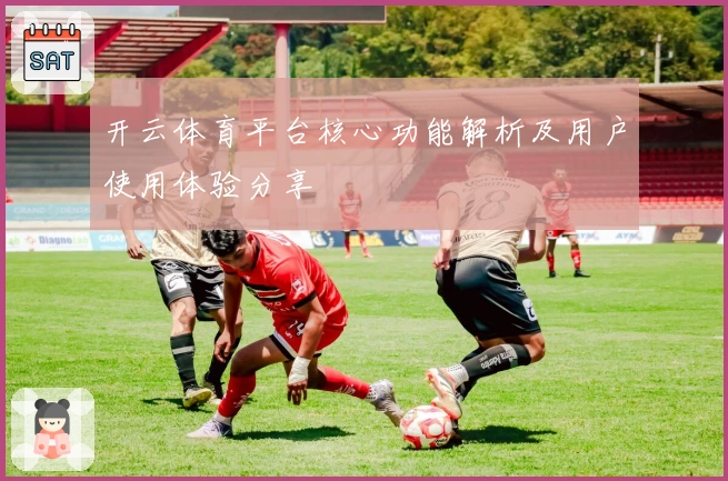 开云体育平台核心功能解析及用户使用体验分享
